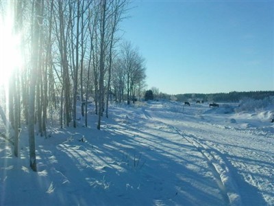 Vinterbild